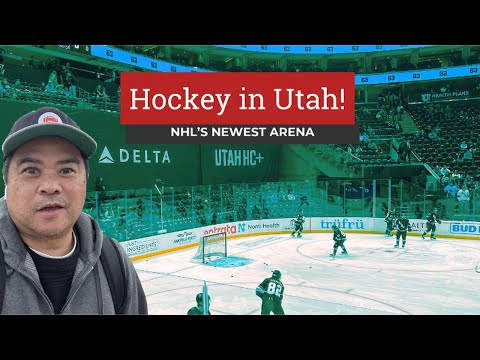 Visiting the NHL